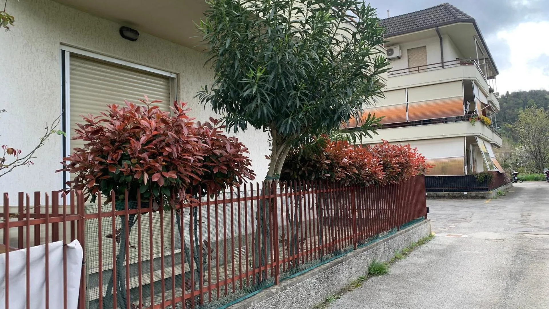 Il Tucanino Carasco